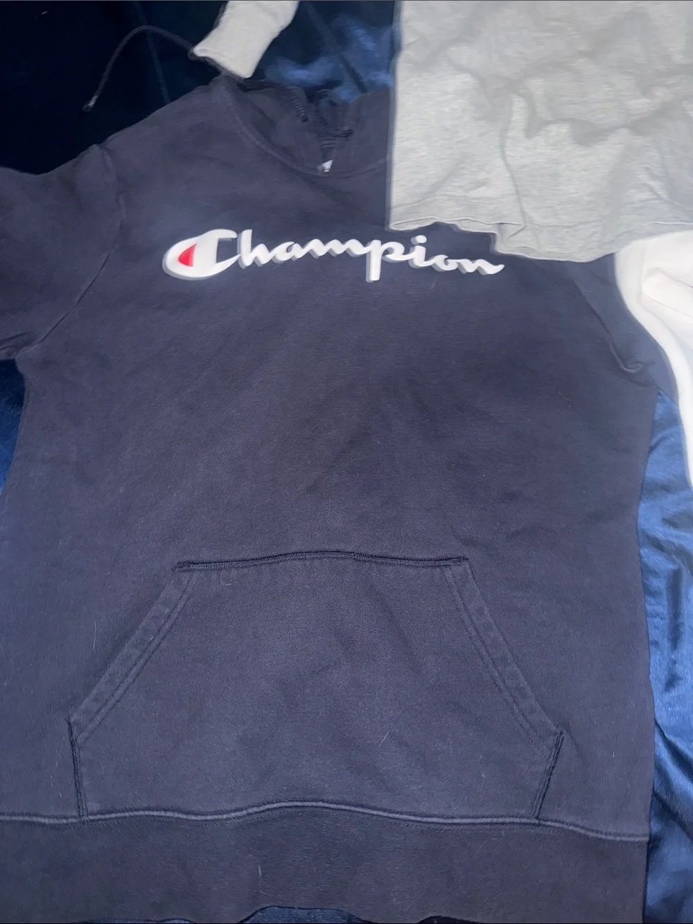 Champion Pullover Hoodies in Navy and White (M) Then gray Nike pullover (S)